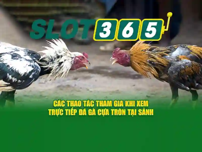 slot365 xx vip – Nguồn gốc và sứ mệnh