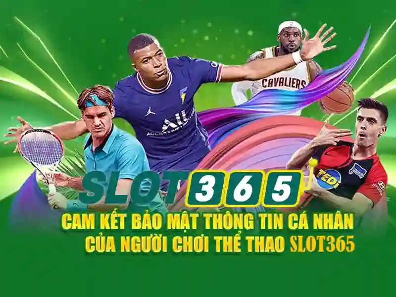 Khuyến mãi và chương trình thưởng