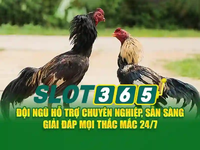 slot365 link – Giới thiệu, trải nghiệm và đánh giá đầy đủ