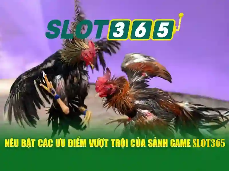 slot365 alternatif – Tầm nhìn và trải nghiệm người dùng