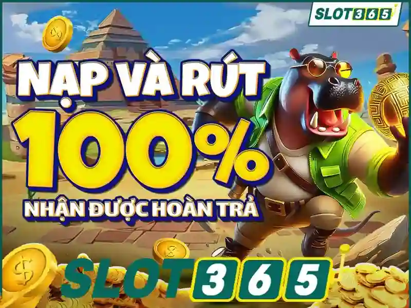 Sản phẩm cốt lõi và dịch vụ: ứng dụng nhận thưởng Slot365