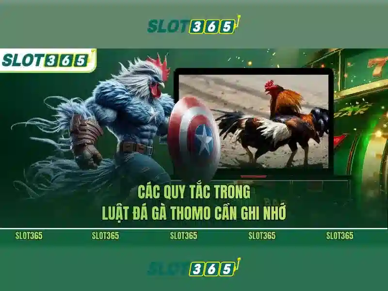 slot365 link – kết nối trải nghiệm an toàn và uy tín