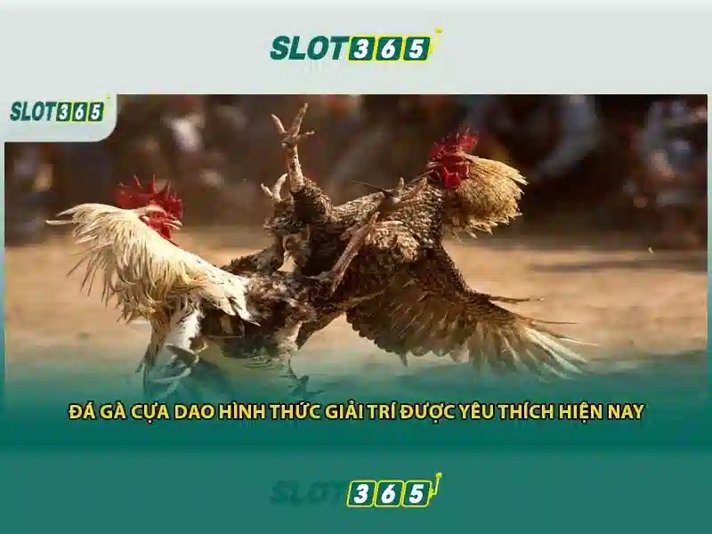 Slot365 – Nền tảng máy chơi slot hàng đầu