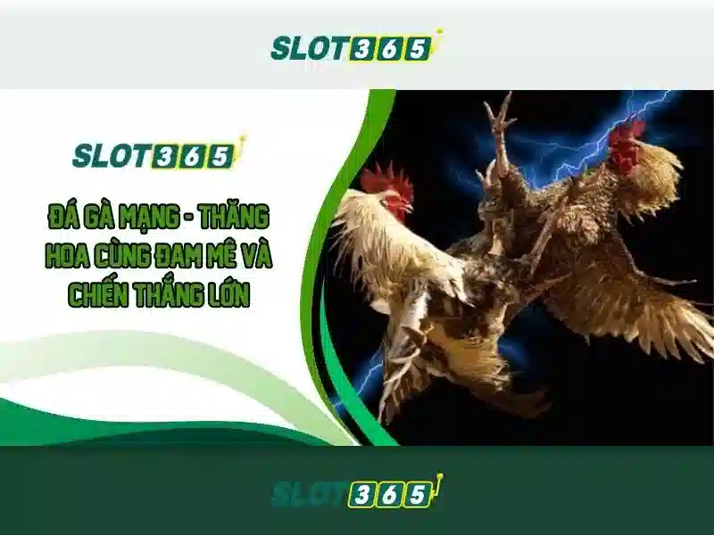 nạp tiền Slot365 – Hướng dẫn an toàn và trải nghiệm tốt