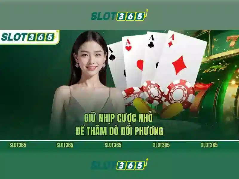 Slot365: Đánh giá nền tảng cá cược trực tuyến