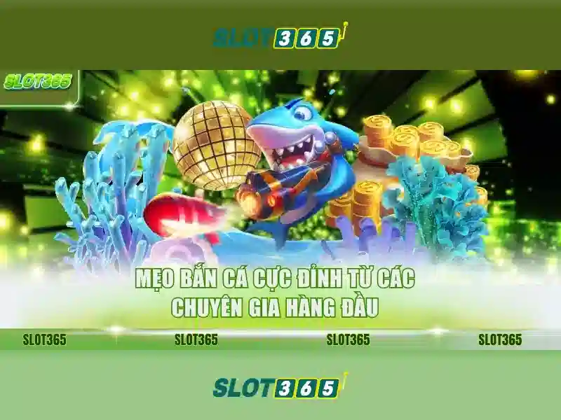 Giới thiệu về Slot365