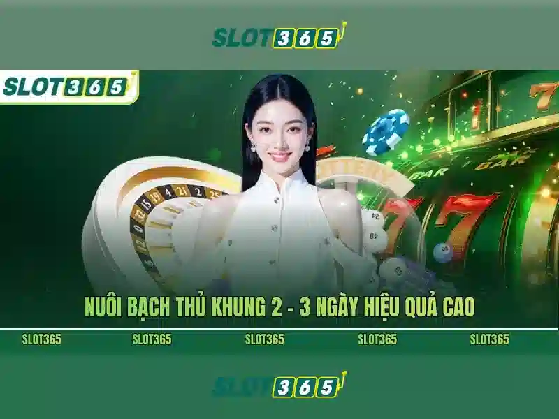 Ưu điểm của Slot365