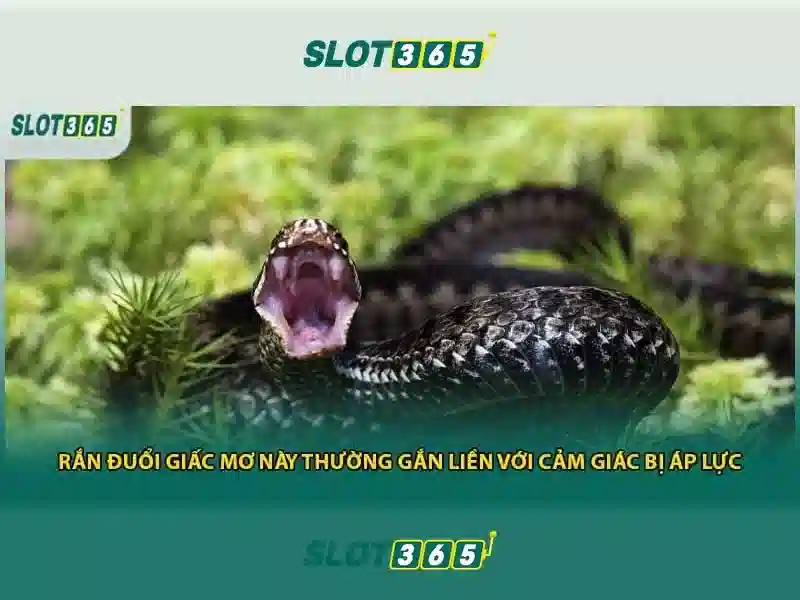 Đăng nhập Slot365 – Tổng quan chủ đề và giá trị cốt lõi