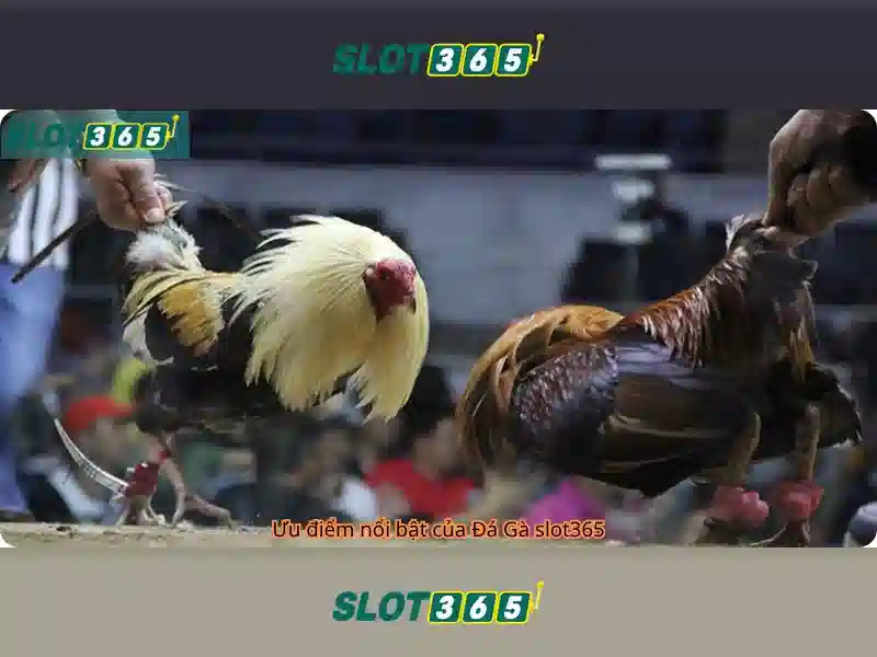 Slot365 - Trải nghiệm slot đỉnh cao tại nền tảng hàng đầu