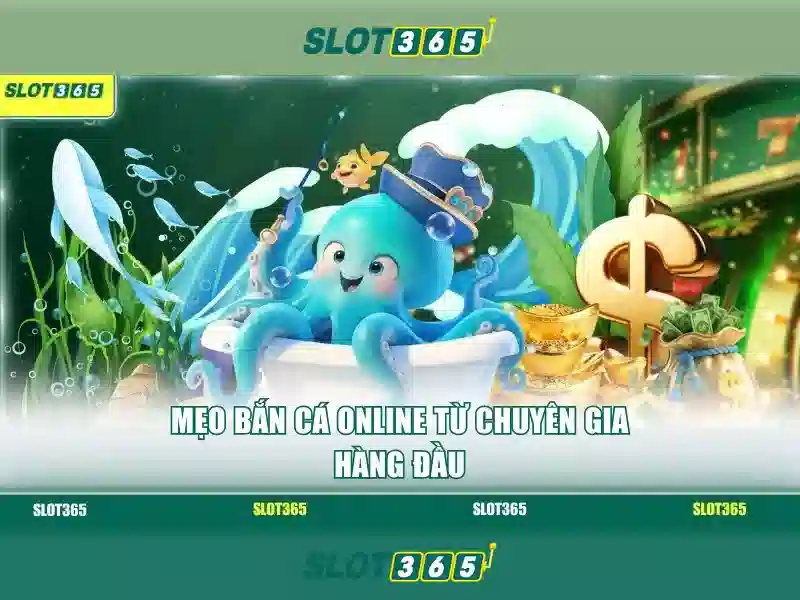 Slot365: Tổng quan về nền tảng chơi slot trực tuyến an toàn và hấp dẫn