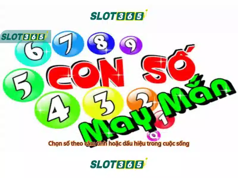 Slot365 - Đánh giá và hướng dẫn cơ bản