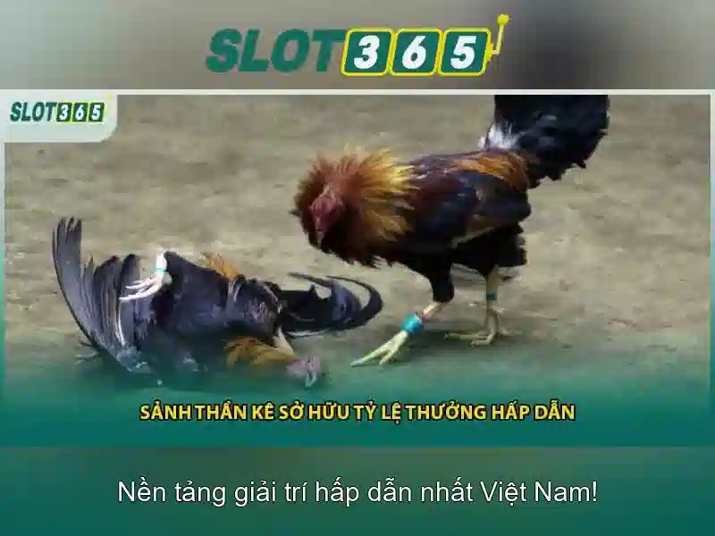 Trò chơi và máy xèng