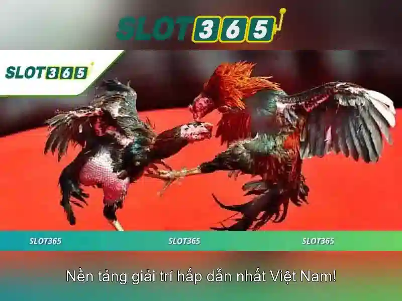Giới thiệu về Slot365