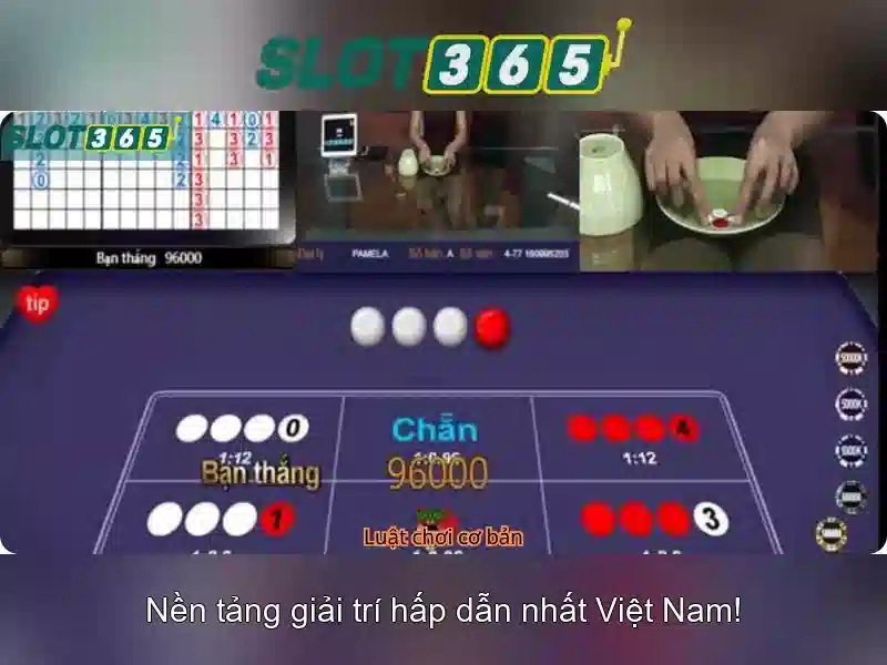 Slot365: nen tang giai tri ky vong