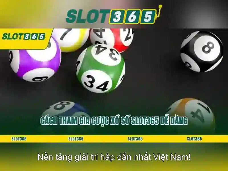Hỗ trợ khách hàng và dịch vụ sau bán hàng