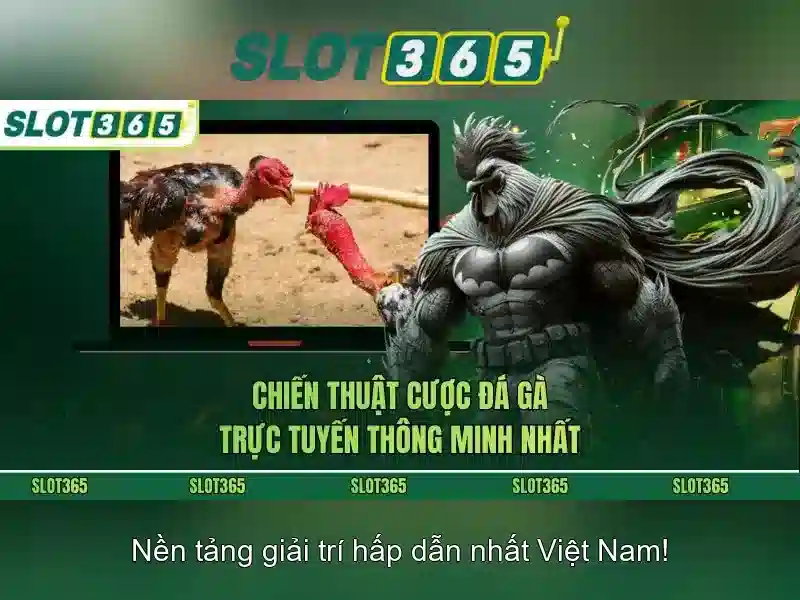 Đặc điểm nổi bật