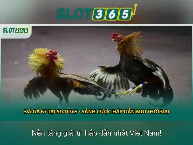 Slot365 là gì?