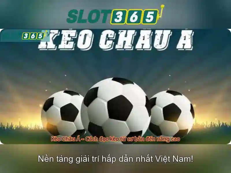 Trải nghiệm di động<h3>Hỗ trợ khách hàng</h3><p style=