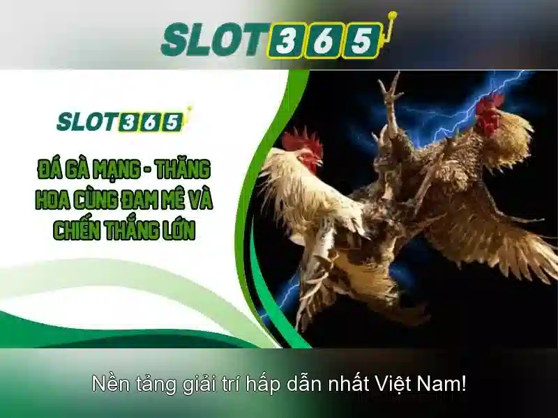 Slot365: Nền tảng chơi slot trực tuyến uy tín và dễ tiếp cận