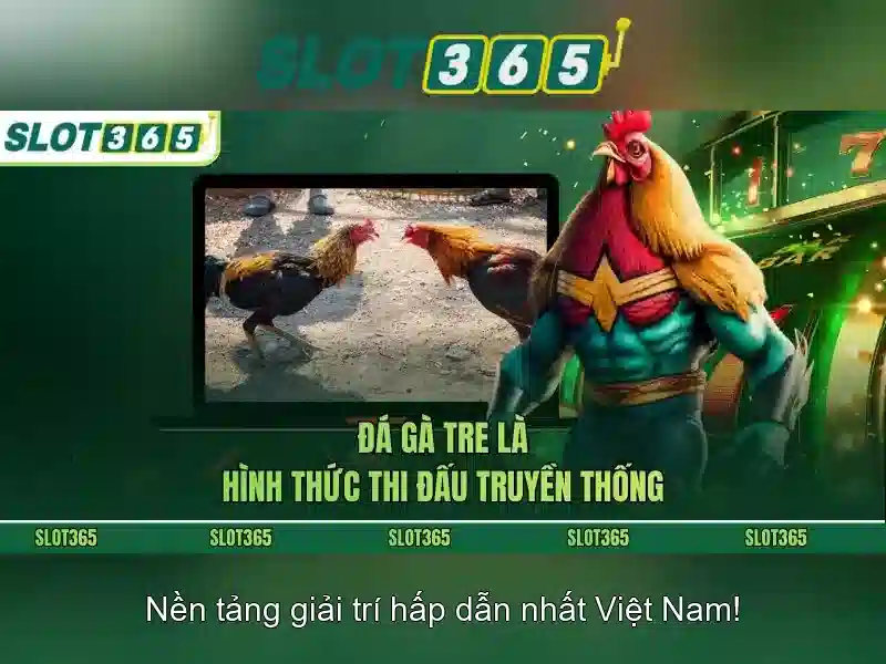 Slot365 - Đánh giá tổng quan về nền tảng chơi slot trực tuyến nổi bật