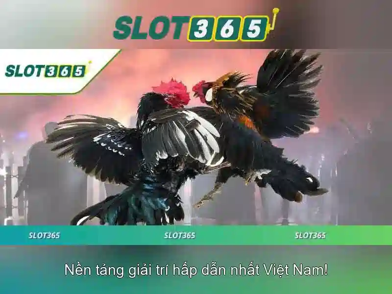 Trải nghiệm người dùng và giao diện