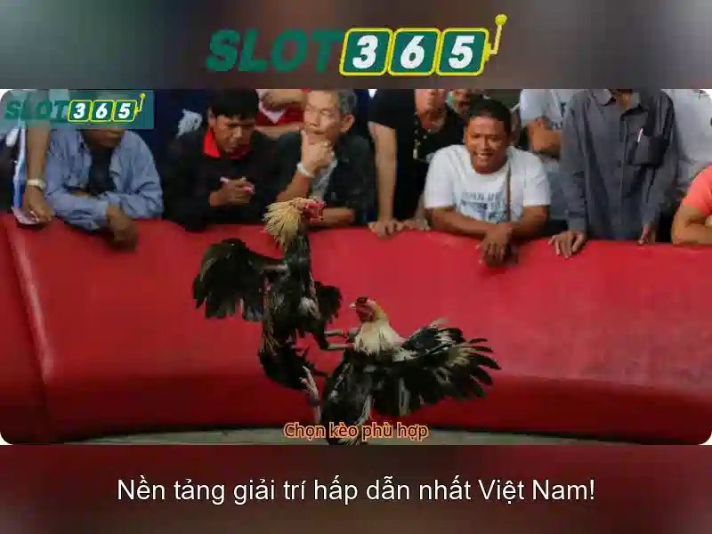 Ưu điểm khi đăng ký và thưởng