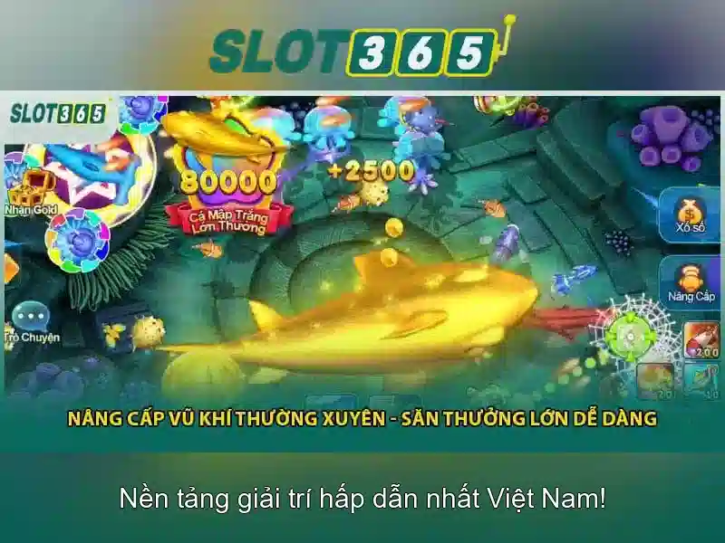 Slot365 - Đánh giá tổng quan