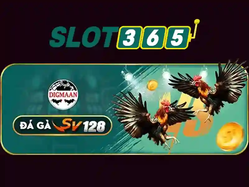 Slot365 – Nền tảng trò chơi slot trực tuyến uy tín