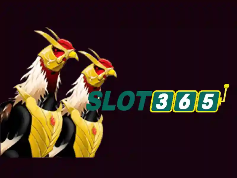 Slot365 - Nền tảng chơi slot trực tuyến tin cậy