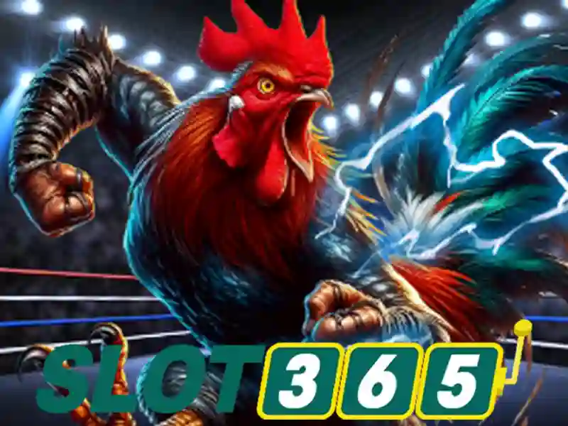slot365 đăng nhập – Tổng quan