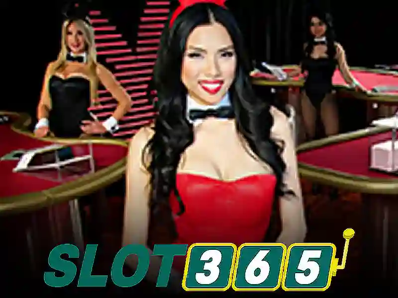 link Slot365 – Trải nghiệm mượt mà và đánh giá đáng tin cậy