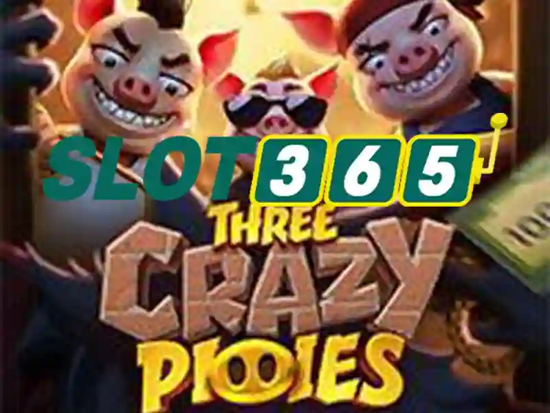 Mẹo chơi slot365 và quản lý ngân sách